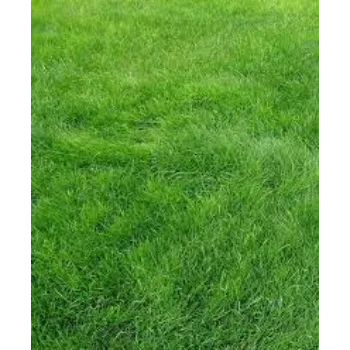 Natural Grass